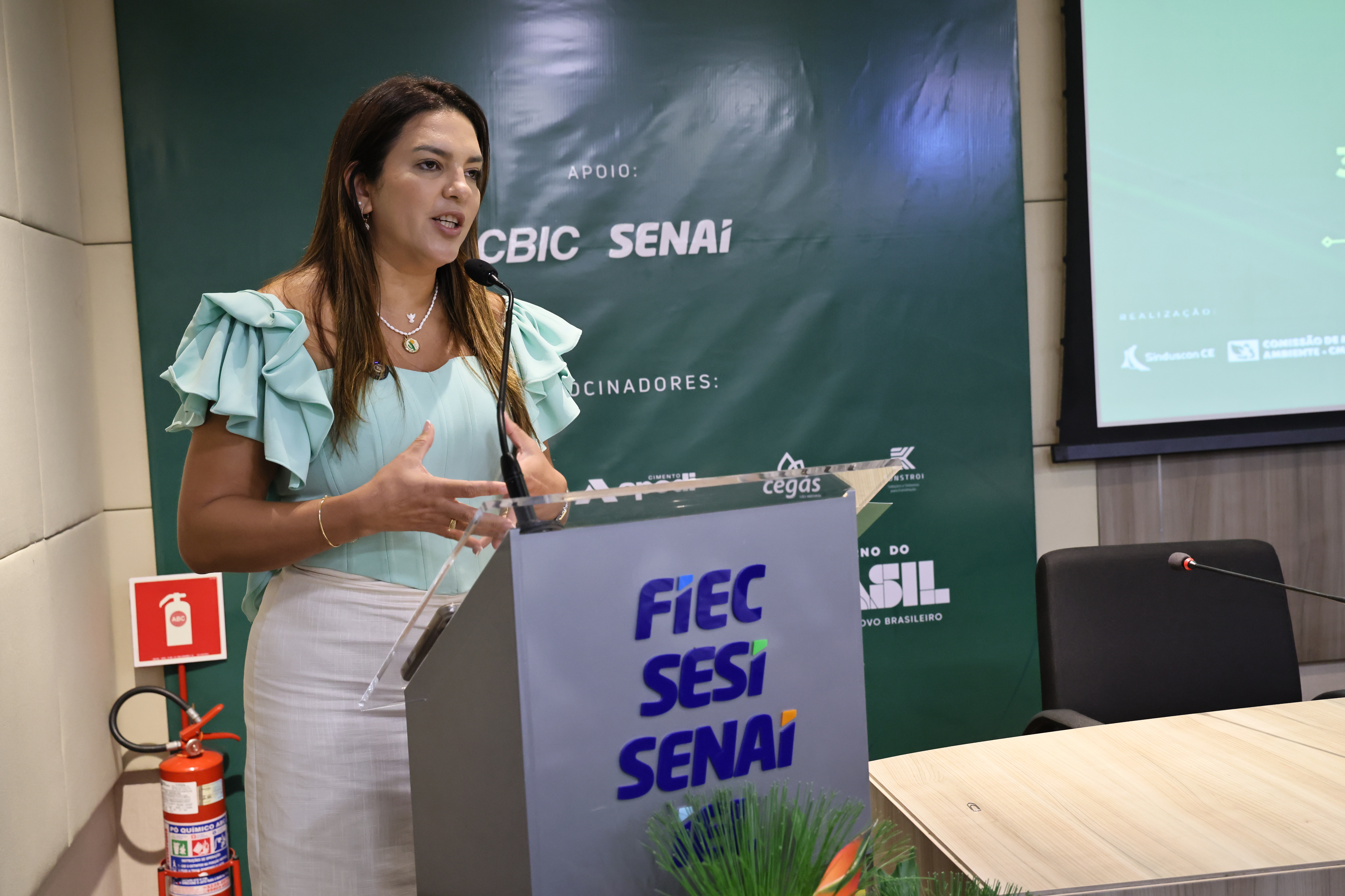 SEMINÁRIO DE DESCARBONIZAÇÃO (52) — SEMINÁRIO CMA 2025