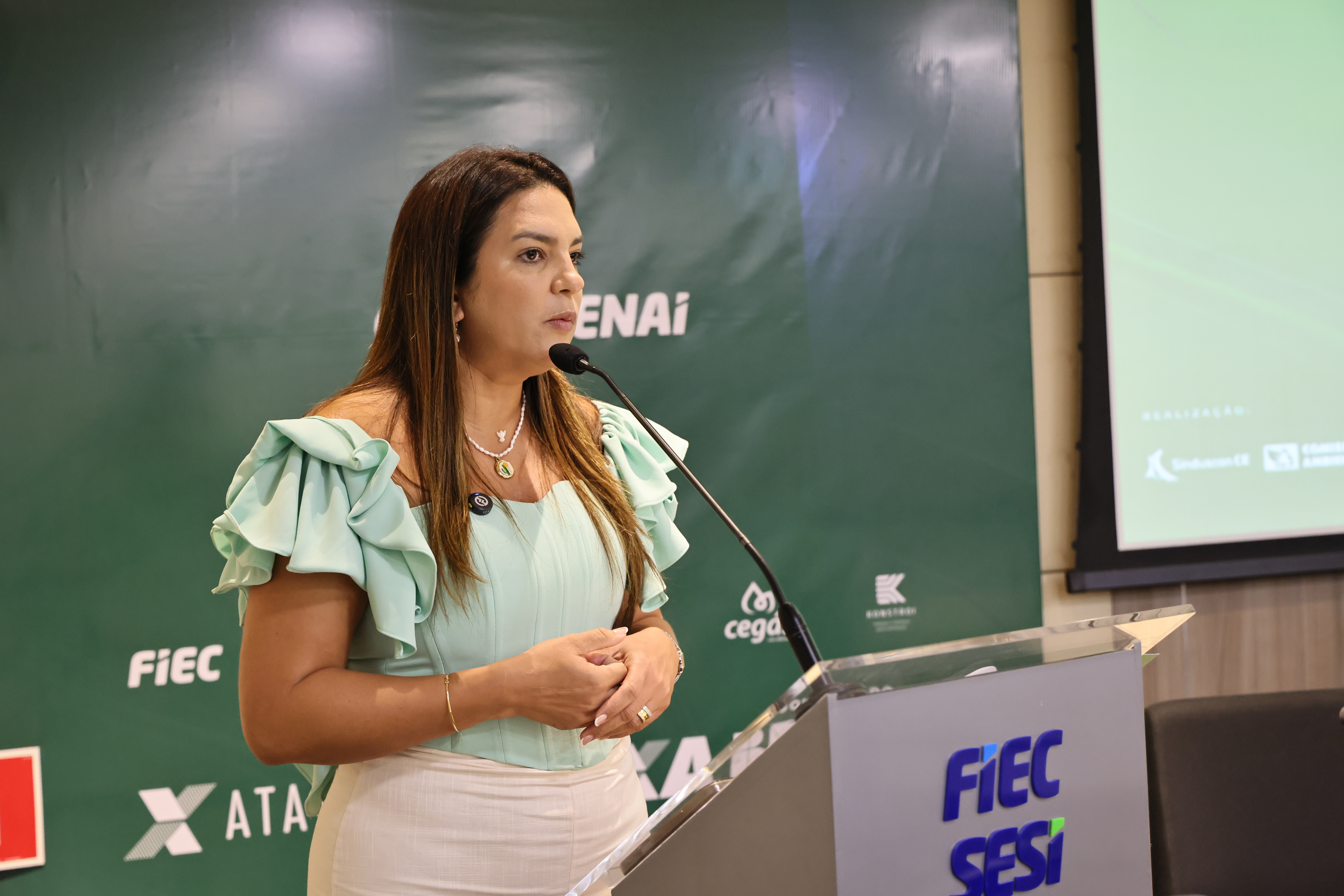 SEMINÁRIO DE DESCARBONIZAÇÃO (66) — SEMINÁRIO CMA 2025