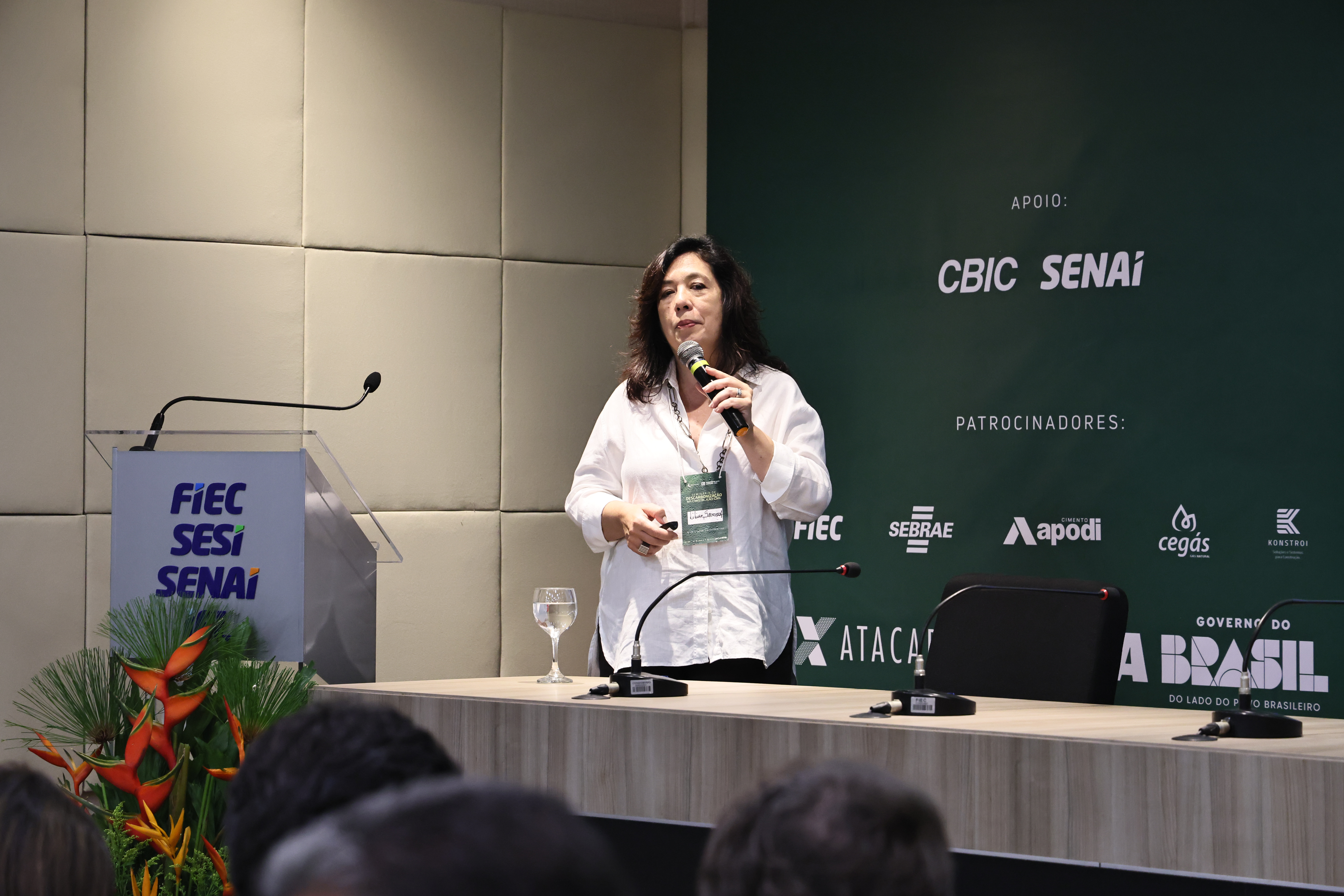 SEMINÁRIO DE DESCARBONIZAÇÃO (100) — SEMINÁRIO DE DESCARBONIZAÇÃO