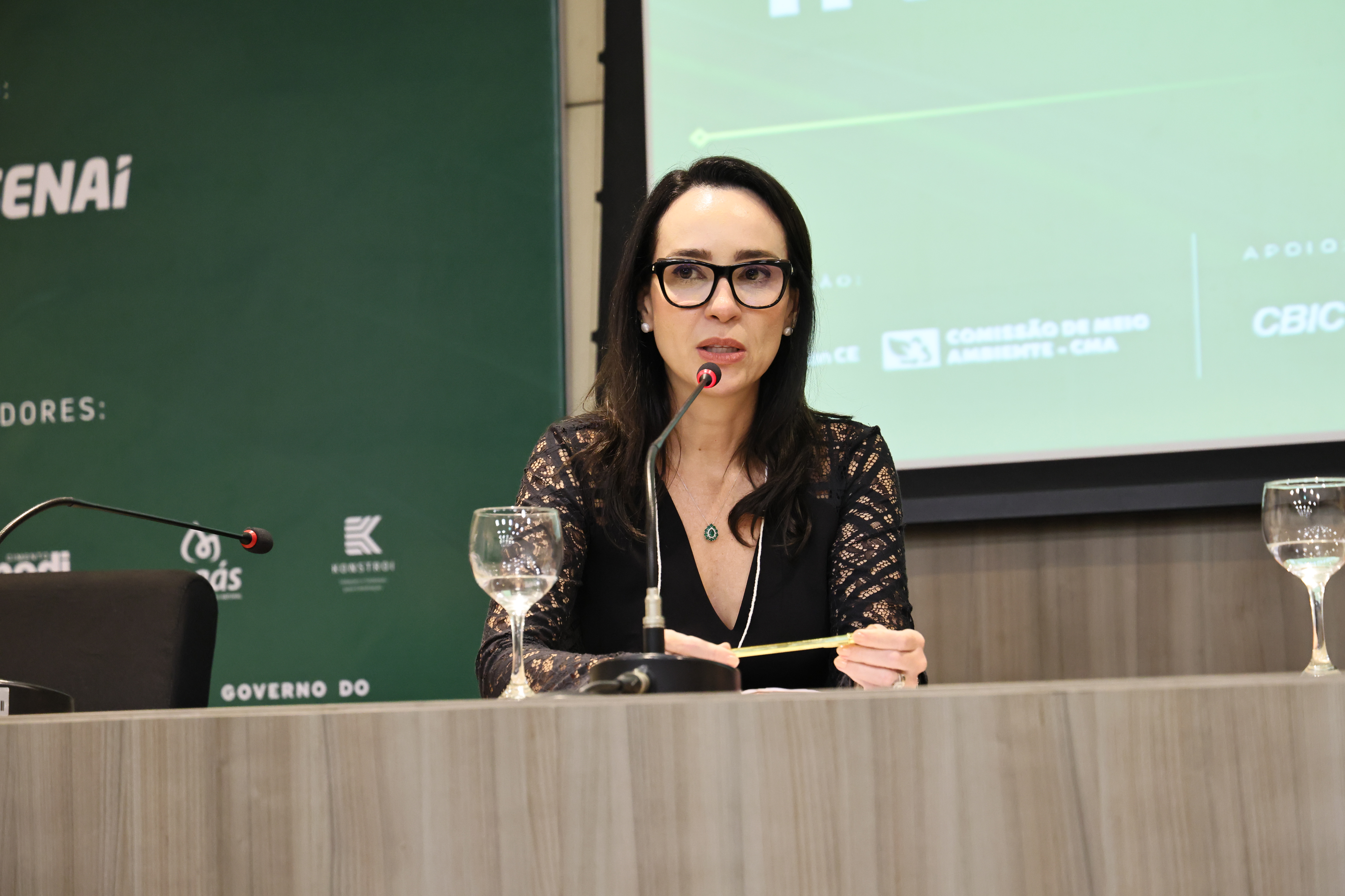SEMINÁRIO DE DESCARBONIZAÇÃO (125) — SEMINÁRIO DE DESCARBONIZAÇÃO
