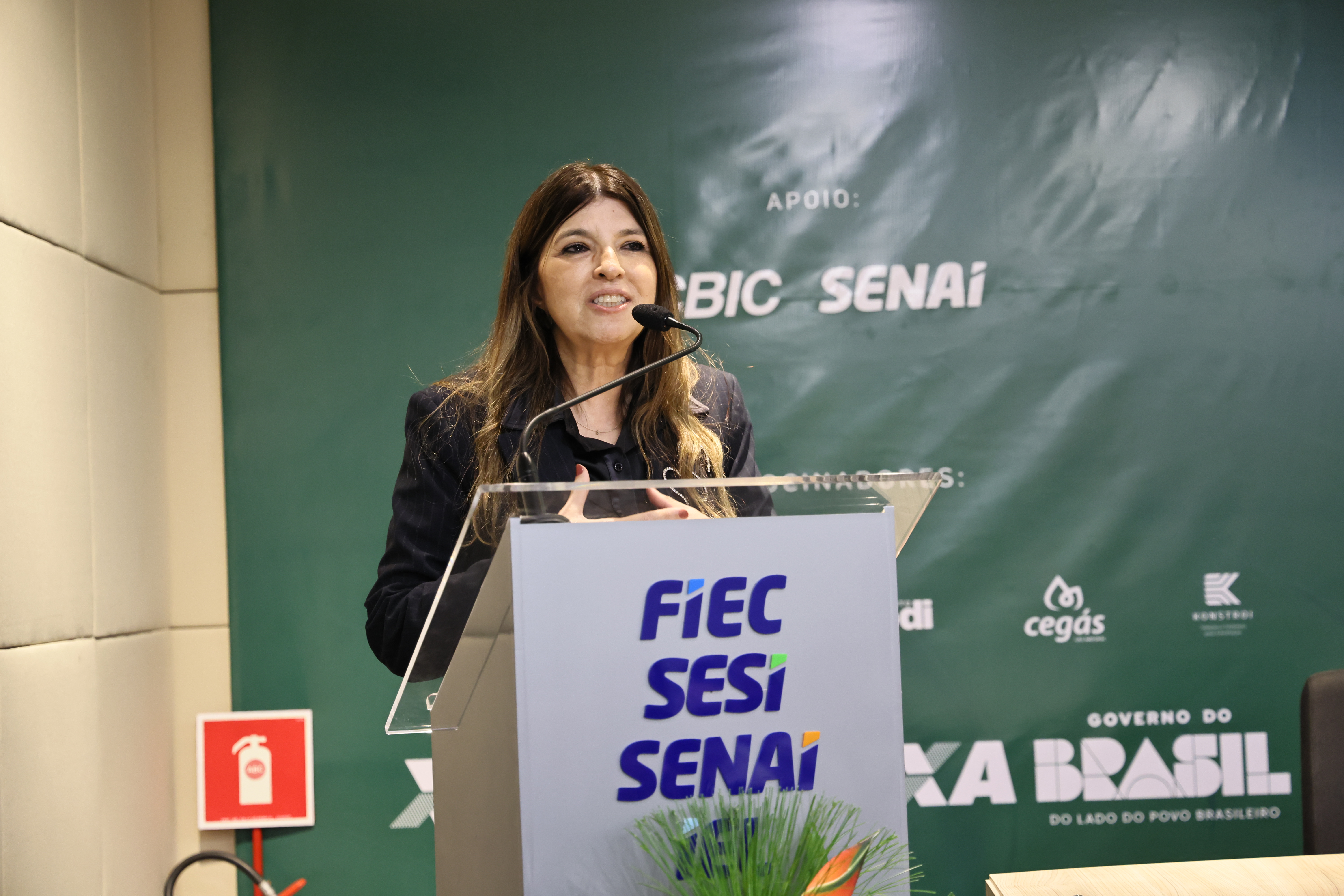 SEMINÁRIO DE DESCARBONIZAÇÃO (44) — SEMINÁRIO DE DESCARBONIZAÇÃO
