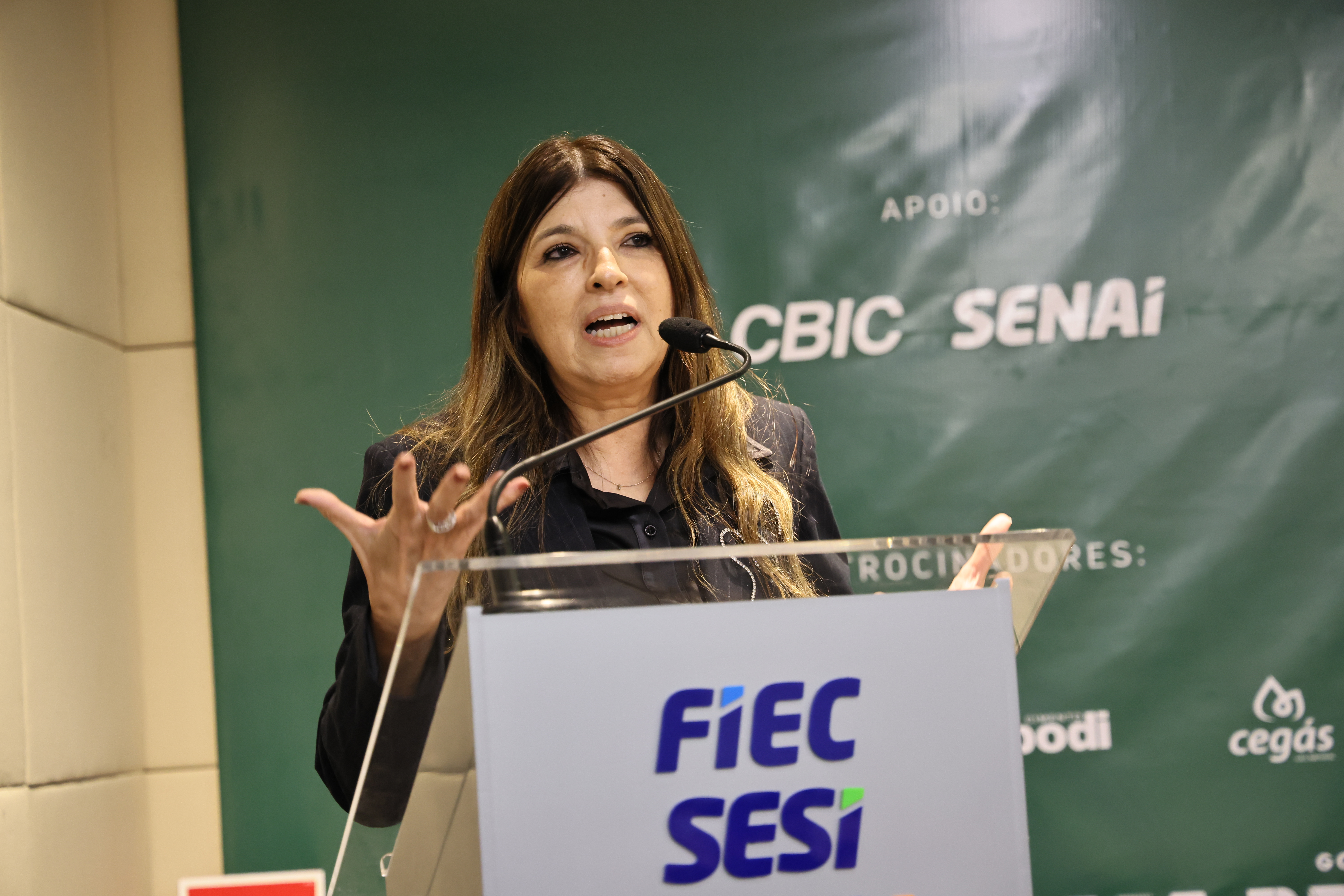 SEMINÁRIO DE DESCARBONIZAÇÃO (45) — SEMINÁRIO DE DESCARBONIZAÇÃO