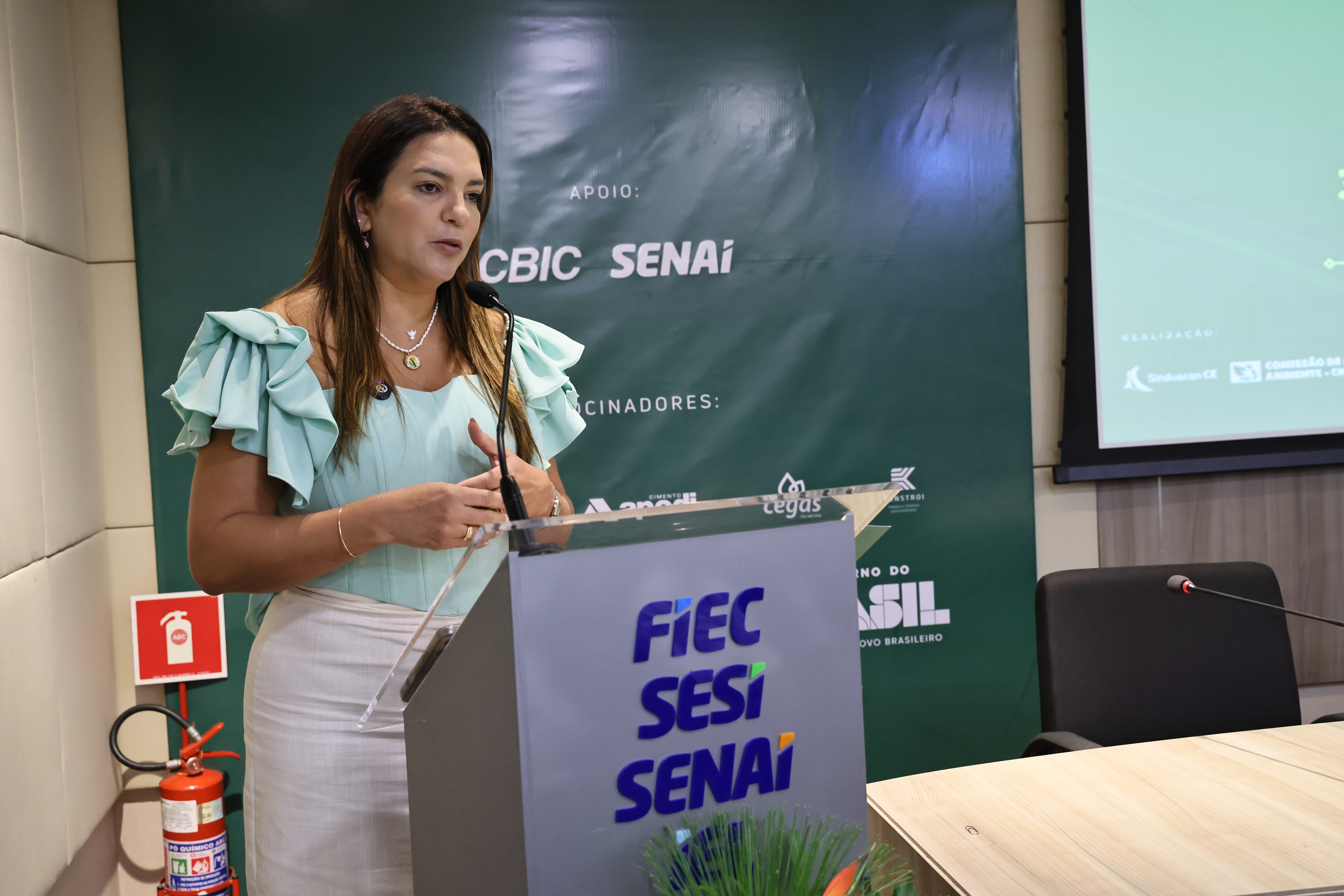 SEMINÁRIO DE DESCARBONIZAÇÃO (51) — SEMINÁRIO DE DESCARBONIZAÇÃO