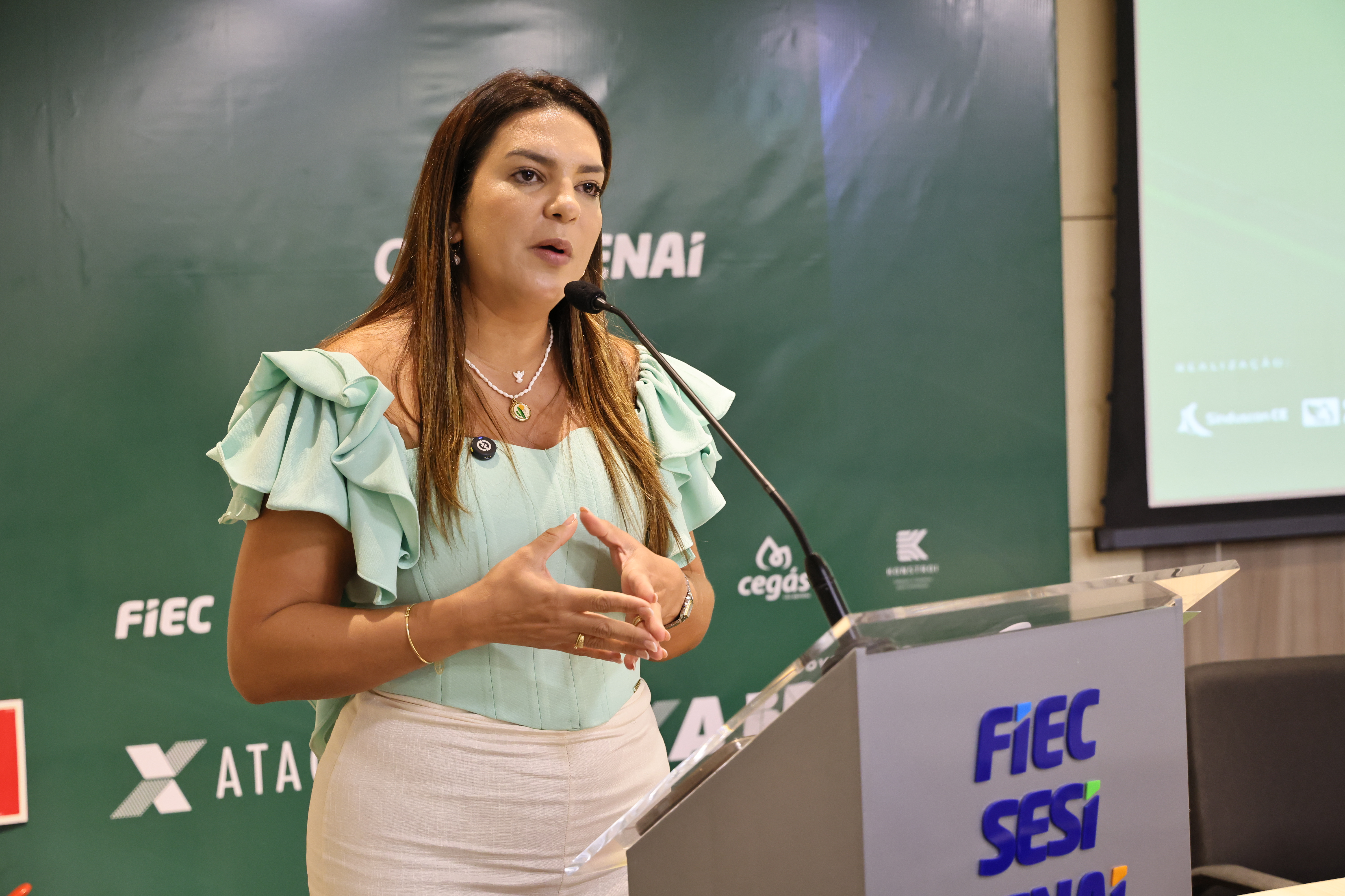 SEMINÁRIO DE DESCARBONIZAÇÃO (67) — SEMINÁRIO DE DESCARBONIZAÇÃO